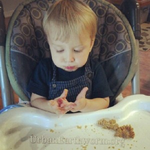 Healthy Vegan Toddler Snack Whole Wheat Pasta Nutritional Yeast Nooch Noodles