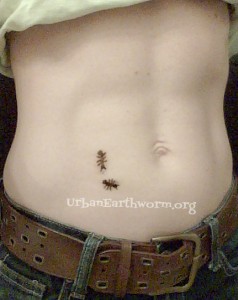 Henna Belly Tattoo of ants, stomach tattoo, bug tattoo