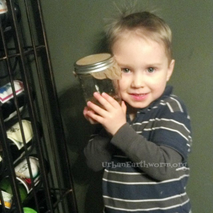 how to grow sprouts in a jar for kids