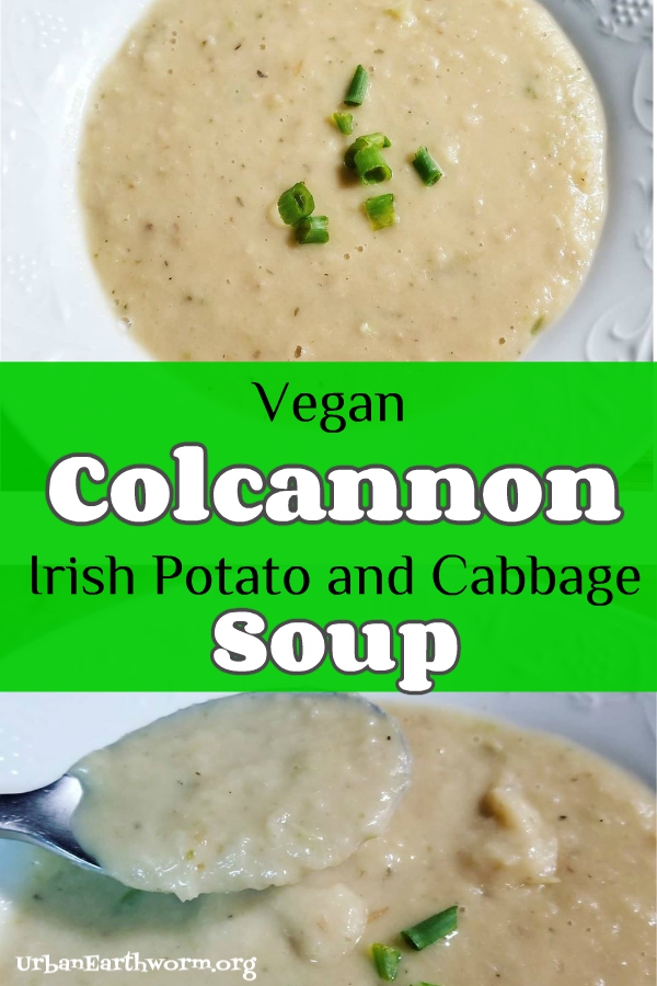 Vegan Irish colcannon potato and cabbage soup recipe 