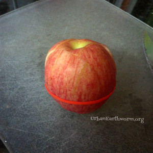 keep apples from turning brown in lunches